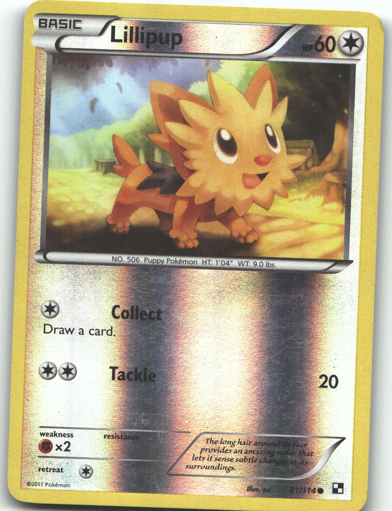 Lillipup (81)