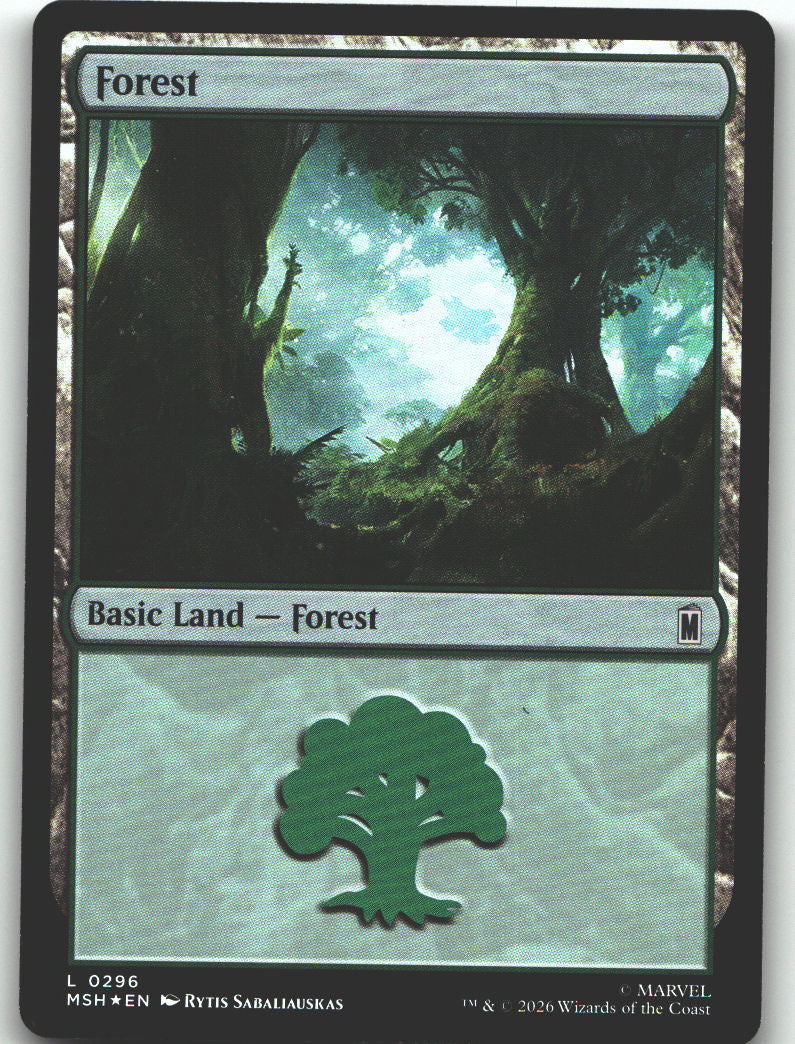 Forest (0296)