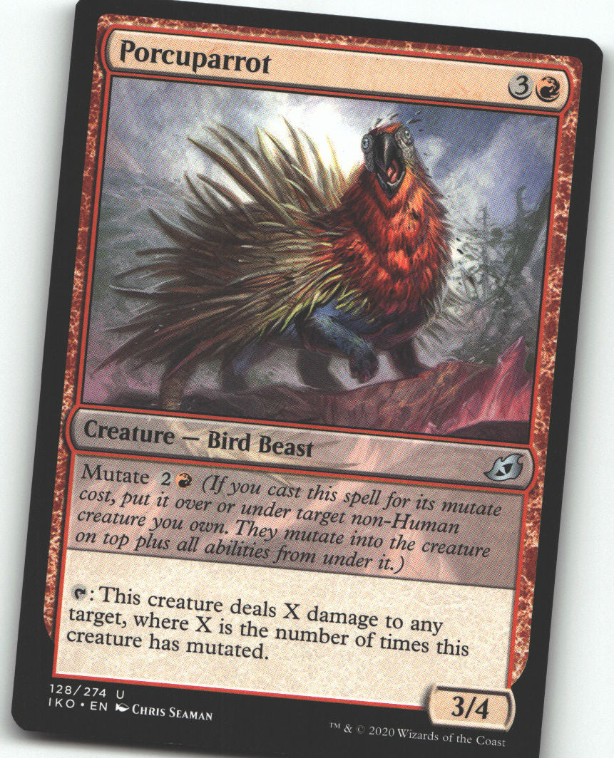 Porcuparrot