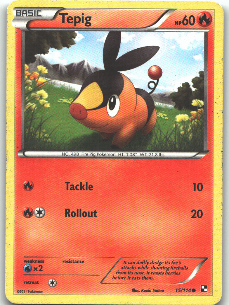 Tepig (15)
