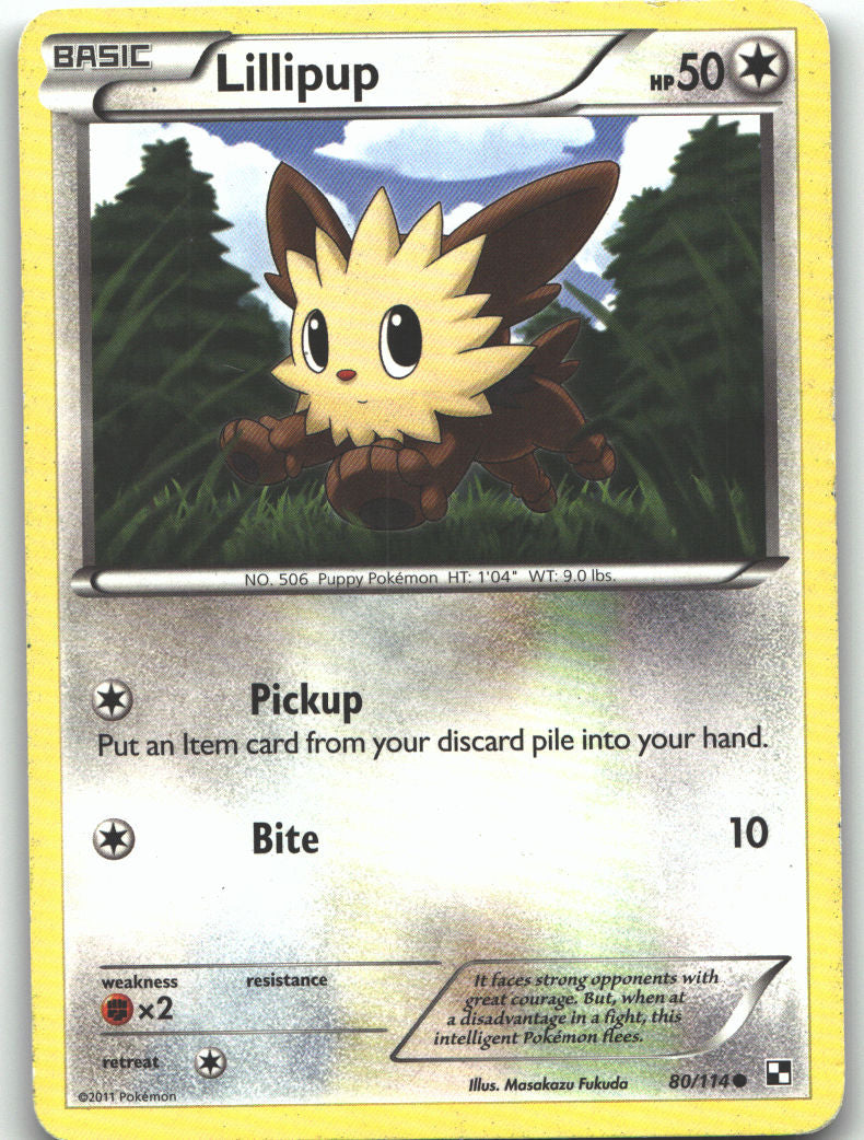 Lillipup (80)