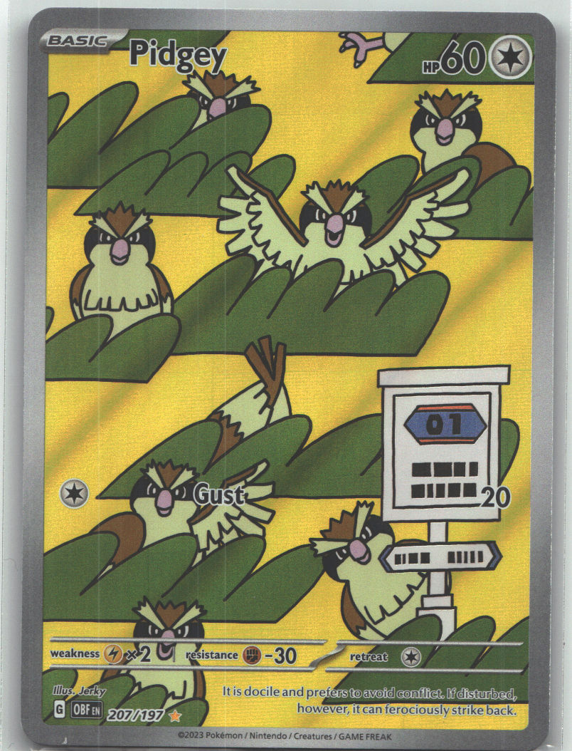 Pidgey - 207/197