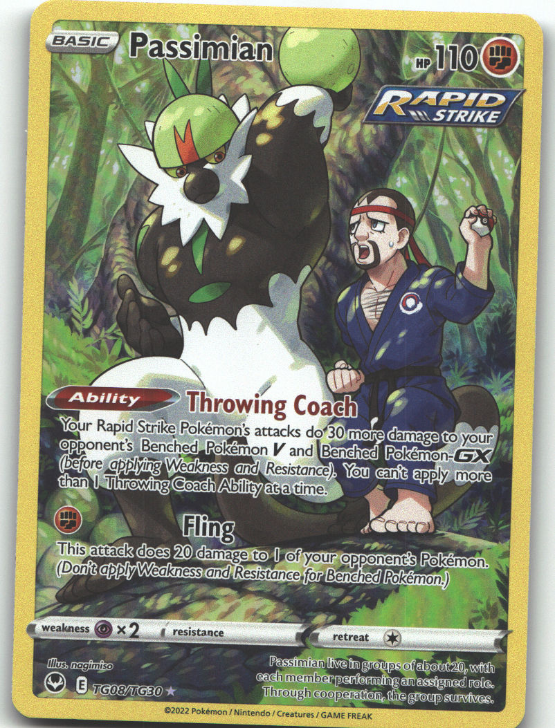 Passimian