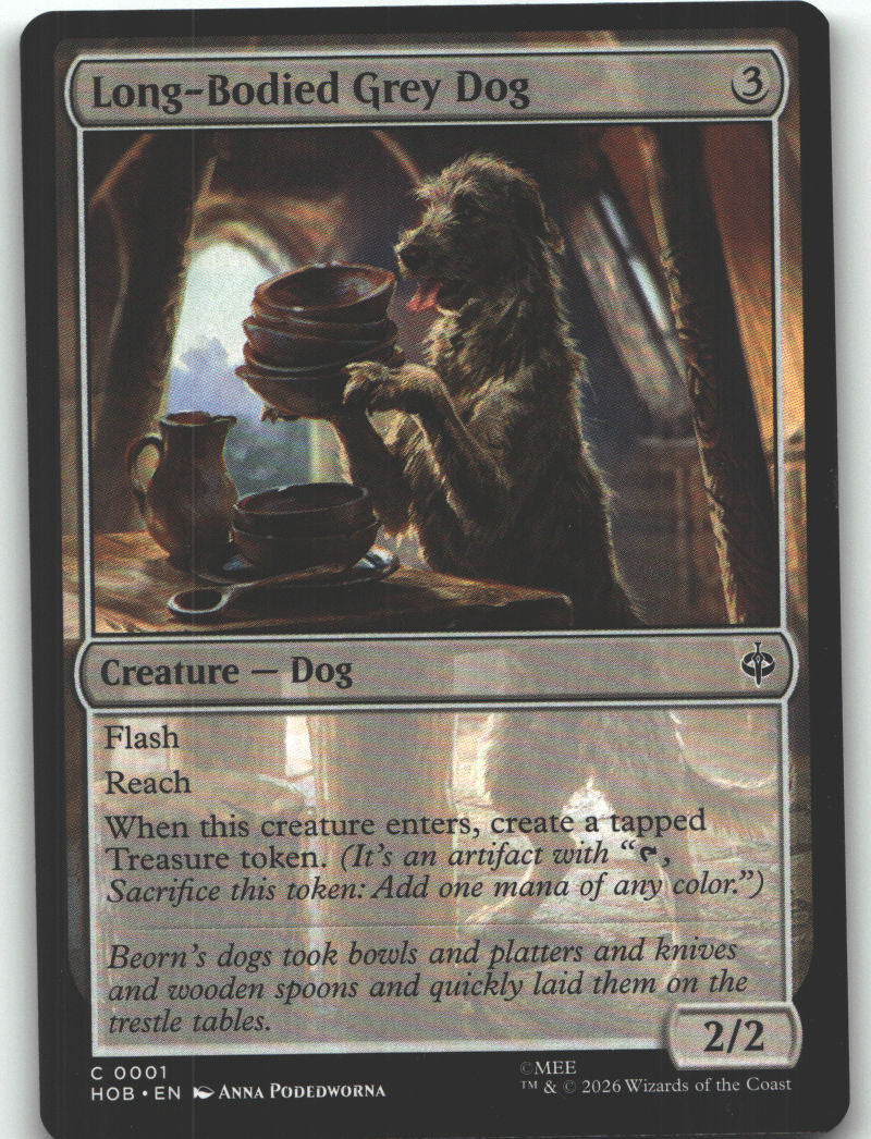 Long-Bodied Grey Dog