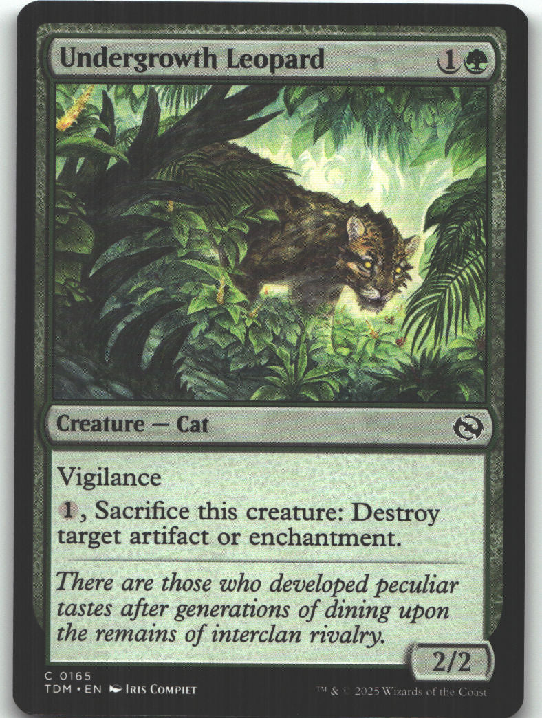 Undergrowth Leopard