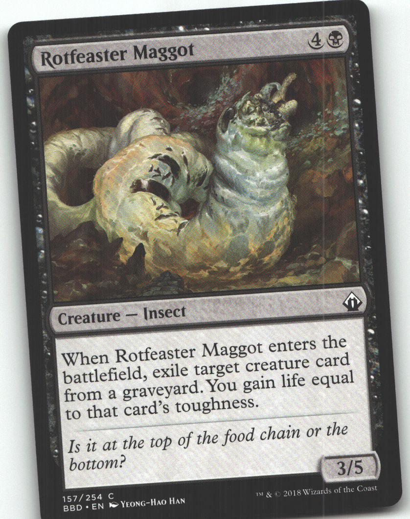 Rotfeaster Maggot