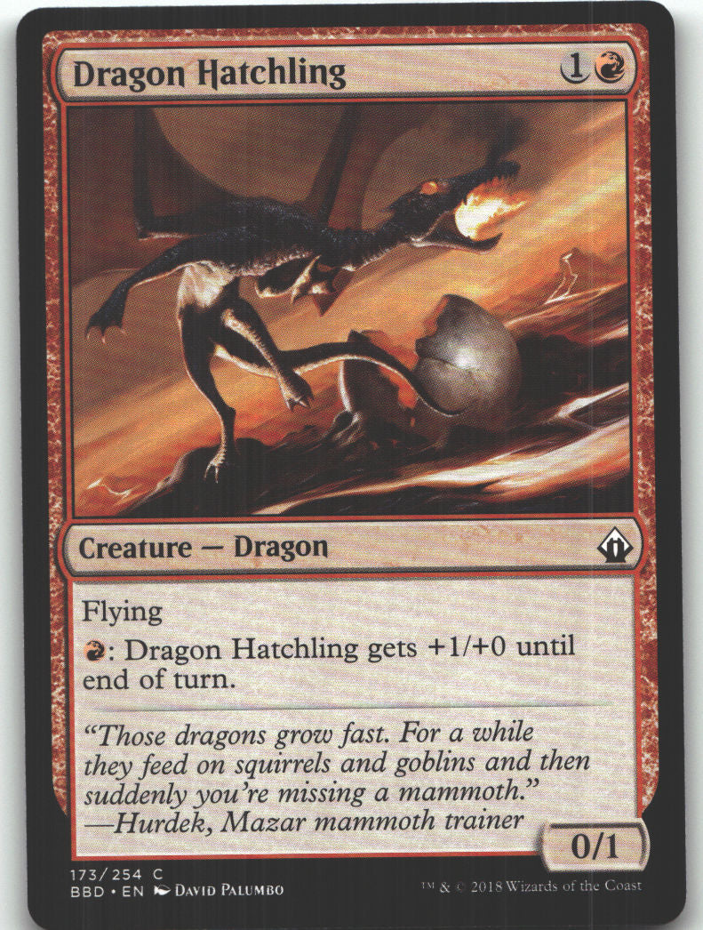 Dragon Hatchling