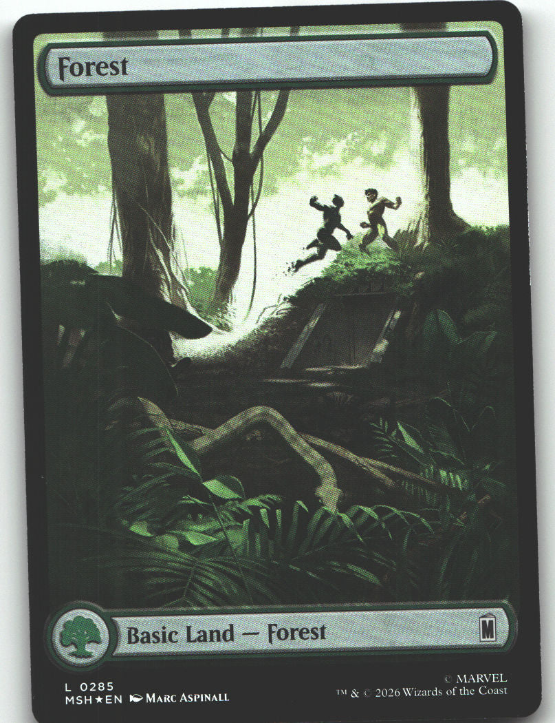 Forest (0285)