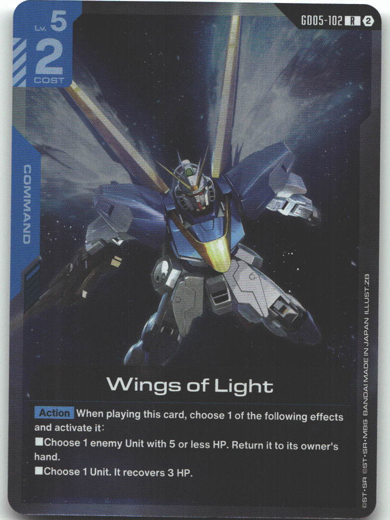 Wings of Light