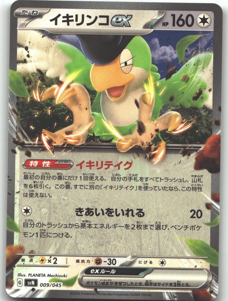 Squawkabilly ex