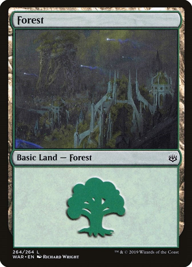 Forest (264)