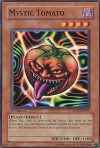 Mystic Tomato