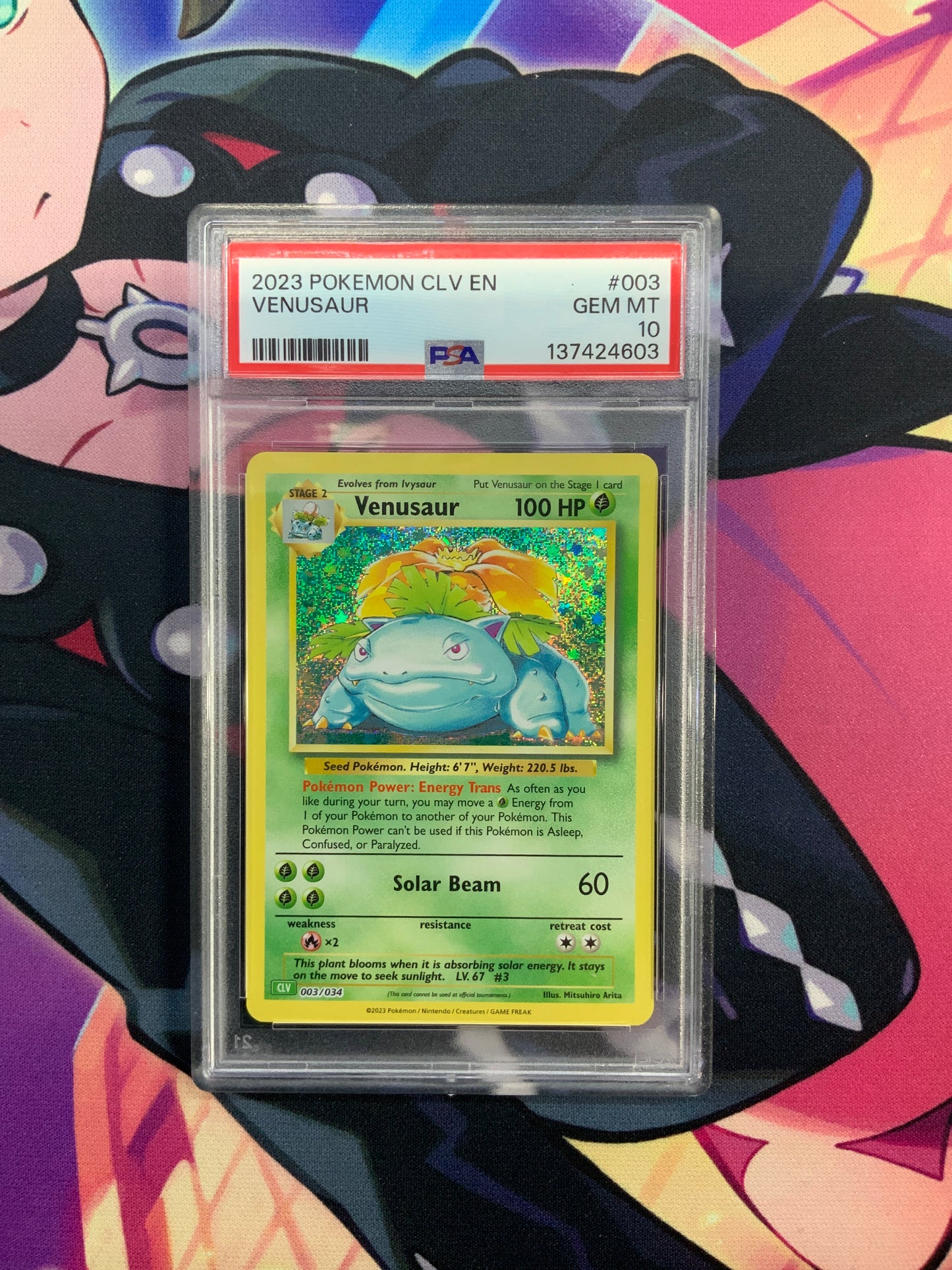 Venusaur - 2023 - Pokémon CLV - PSA 10