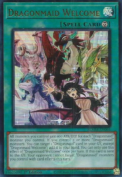 Dragonmaid Welcome