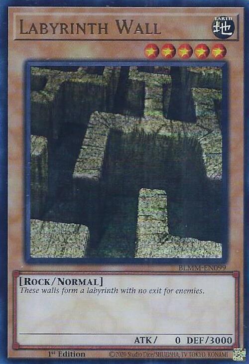Labyrinth Wall