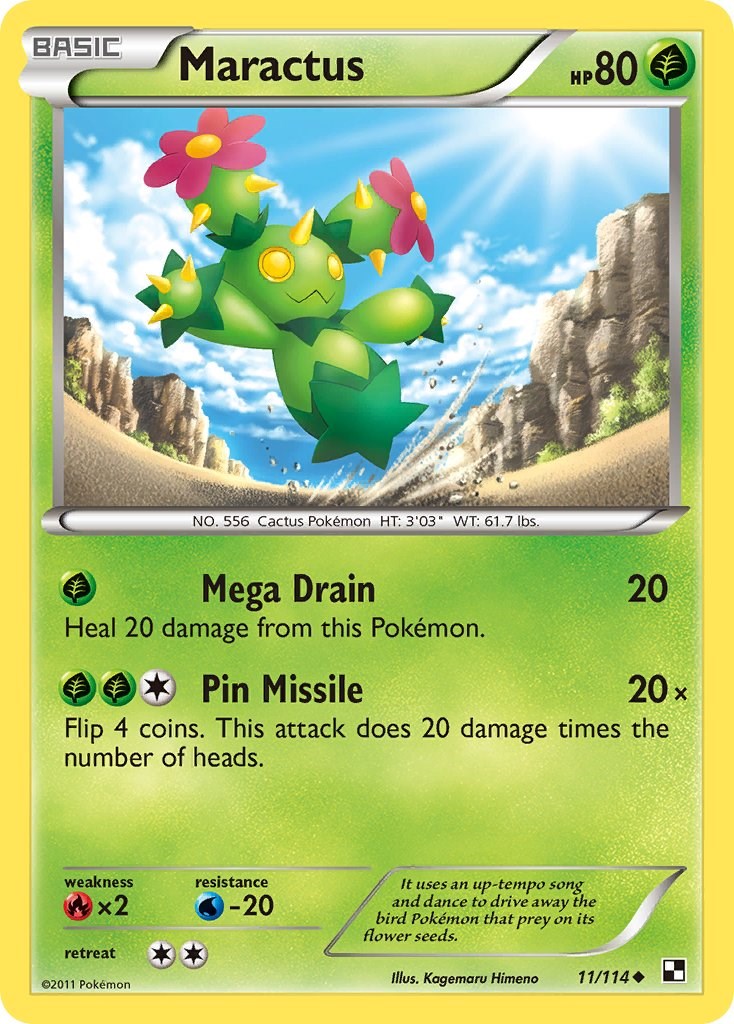 Maractus (11)