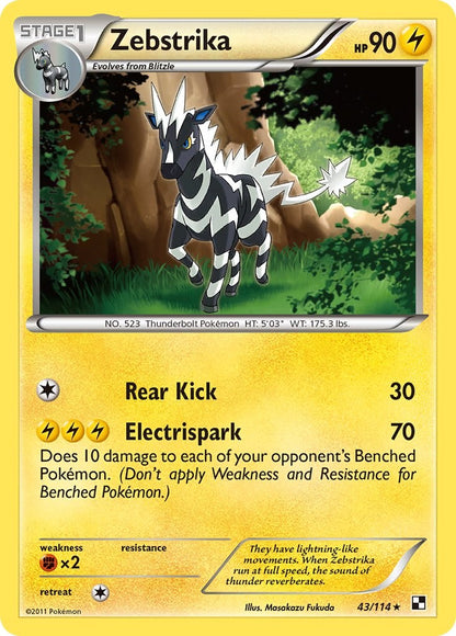 Zebstrika (43)