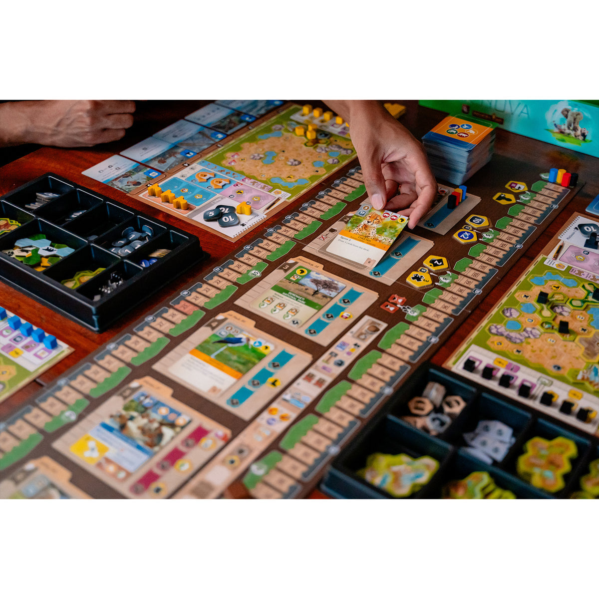 Ark Nova board game set up on a table