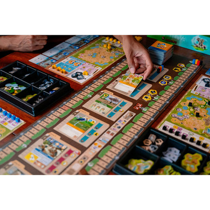 Ark Nova board game set up on a table