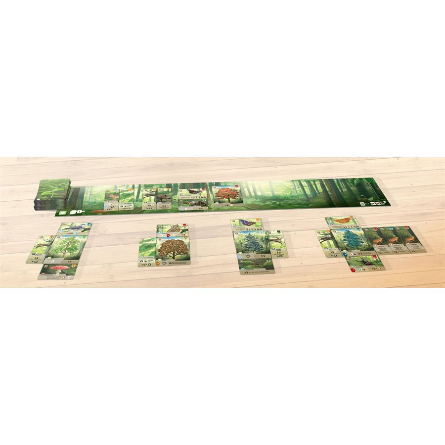 Forest Shuffle cards and scoring board gameplay setup