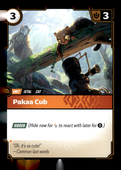 Pakaa Cub