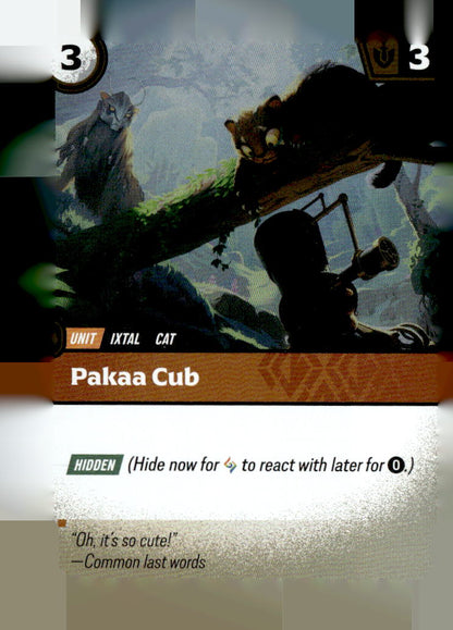 Pakaa Cub