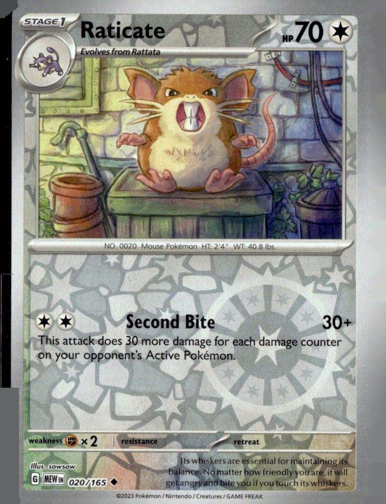 Raticate
