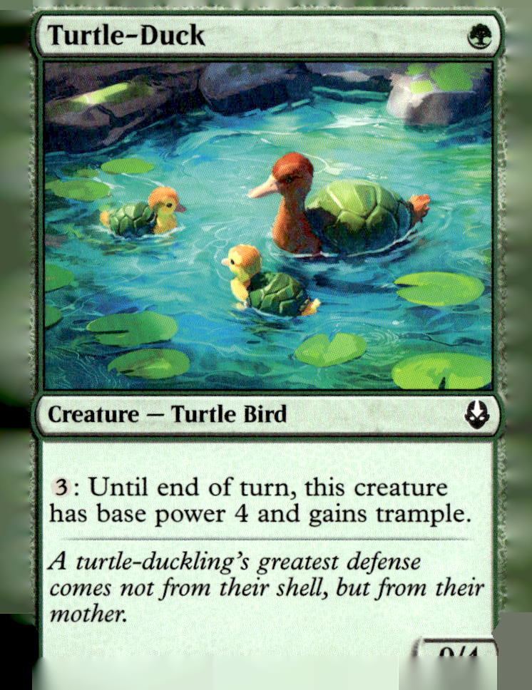Turtle-Duck
