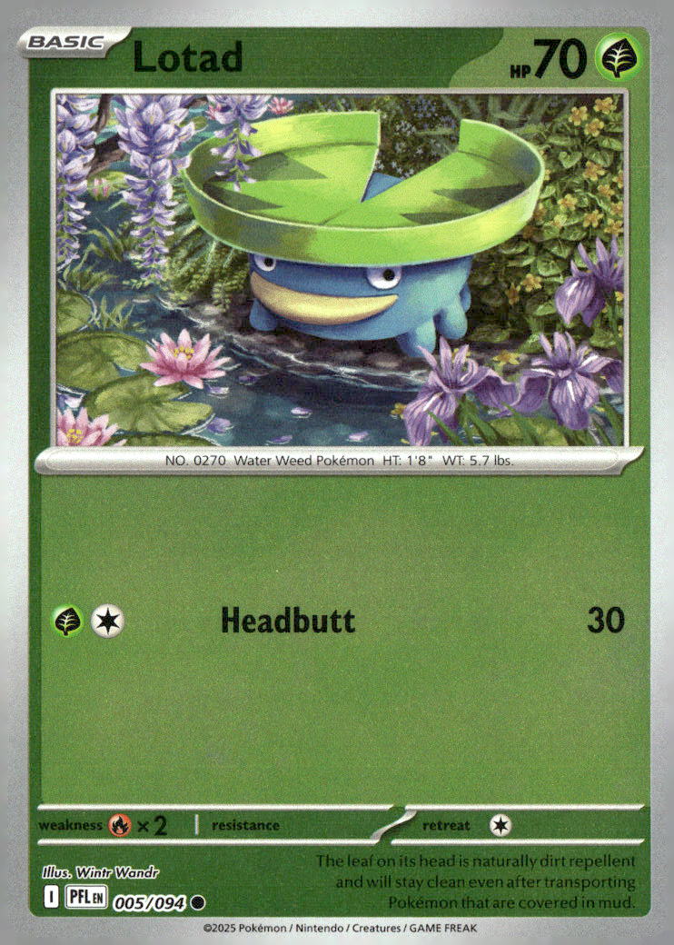 Lotad