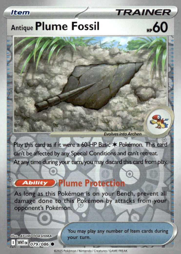 Antique Plume Fossil