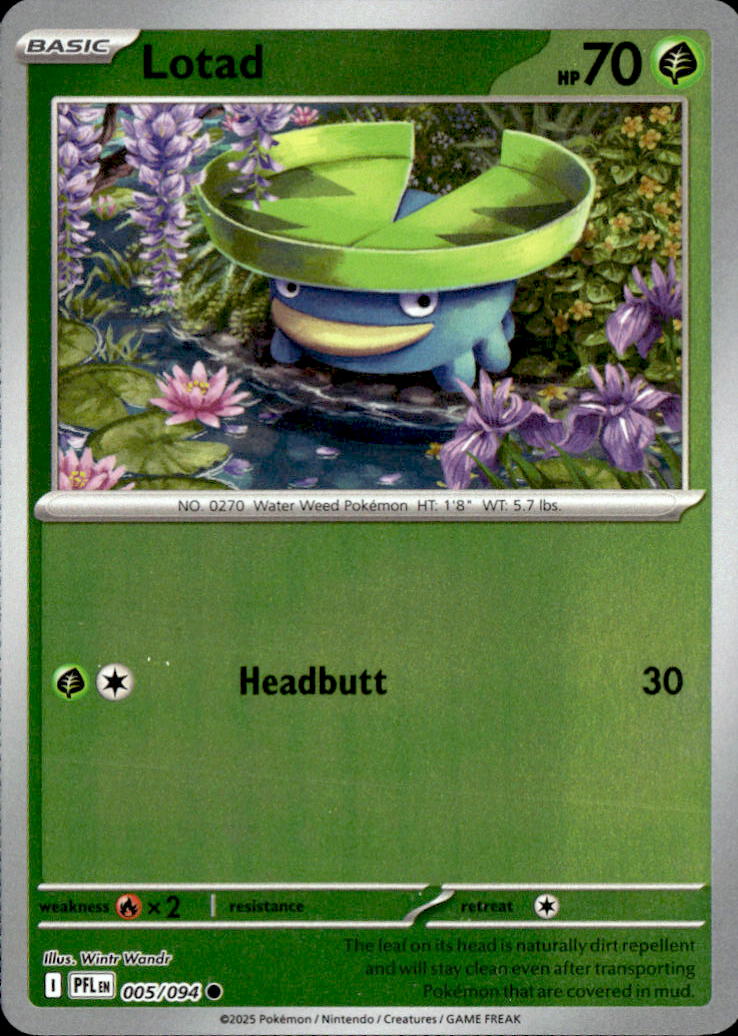 Lotad