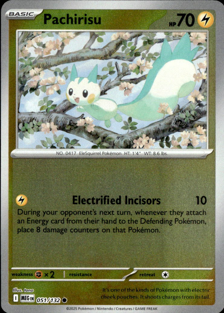 Pachirisu