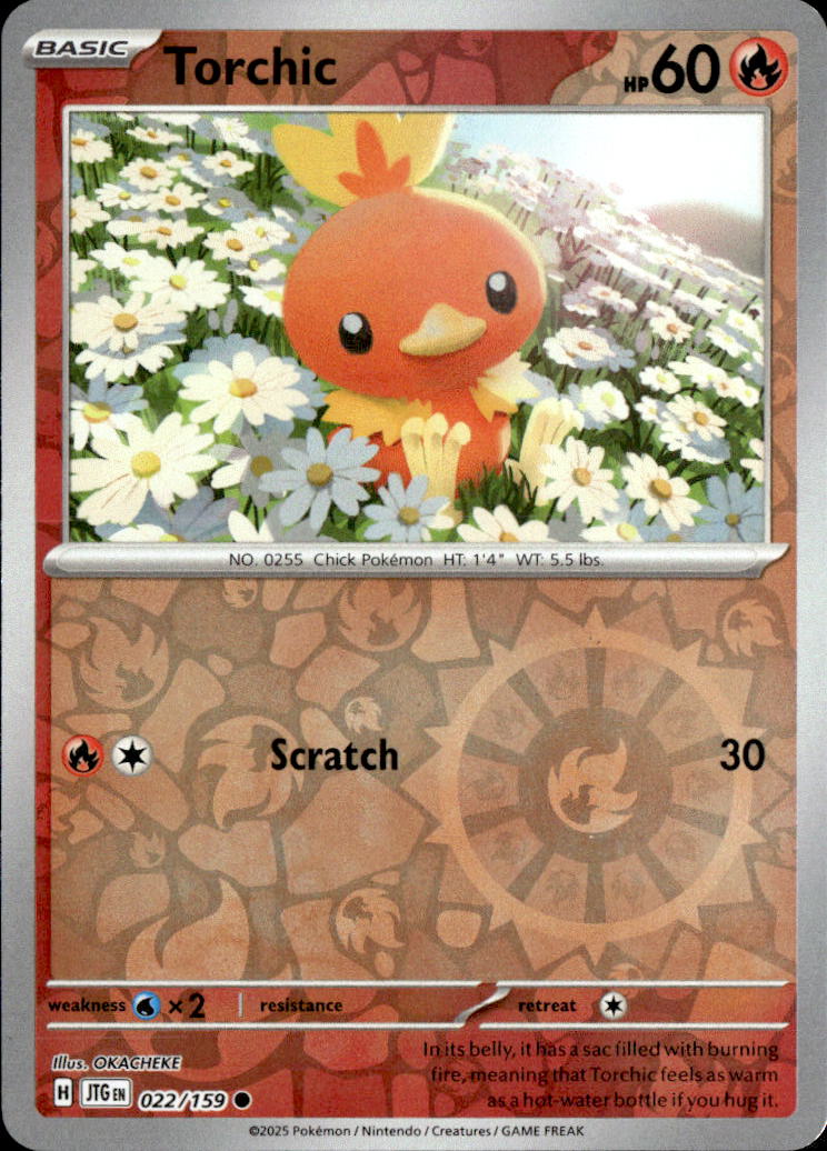 Torchic