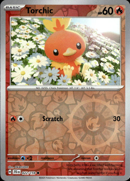 Torchic
