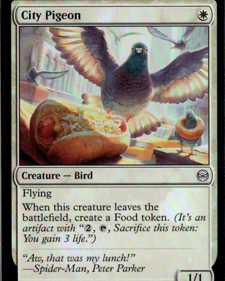 City Pigeon