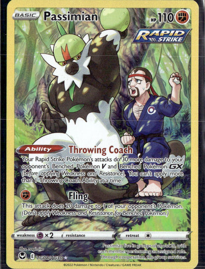 Passimian