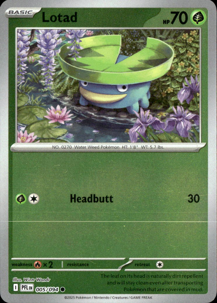 Lotad