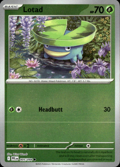Lotad