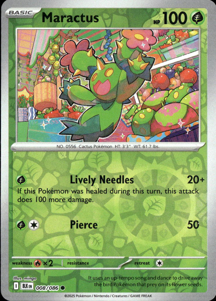 Maractus