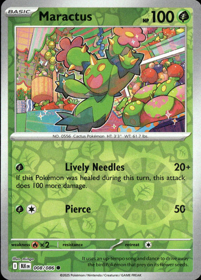 Maractus
