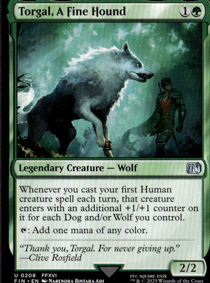 Torgal, A Fine Hound