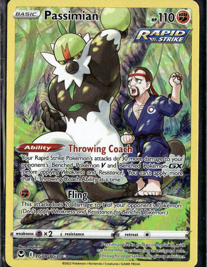 Passimian