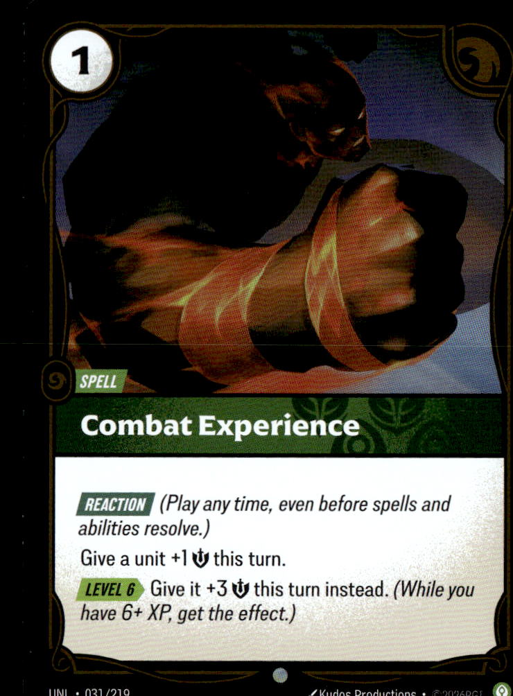 Combat Experience | Near Mint / English / Foil
