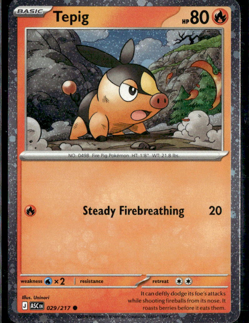 Tepig - 029/217 (Cosmos Holo)