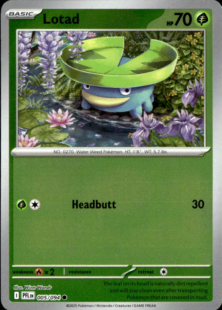 Lotad