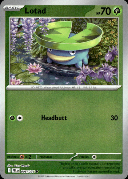 Lotad