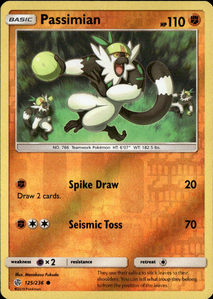 Passimian