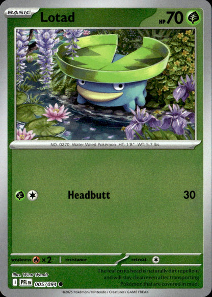 Lotad