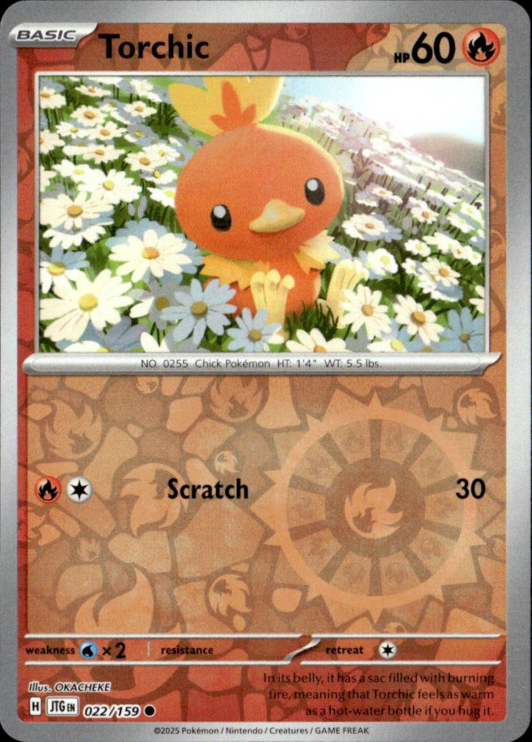 Torchic