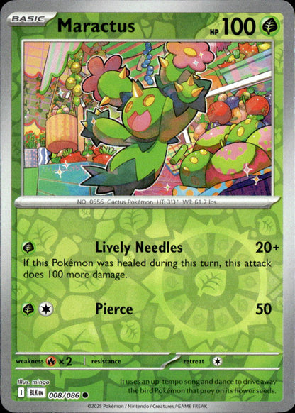 Maractus